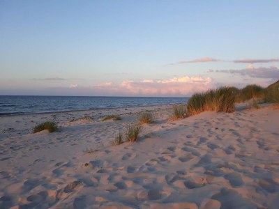 Holiday house 6 Personen Ferienhaus in Læsø-By Traum - Outdoor photo 15