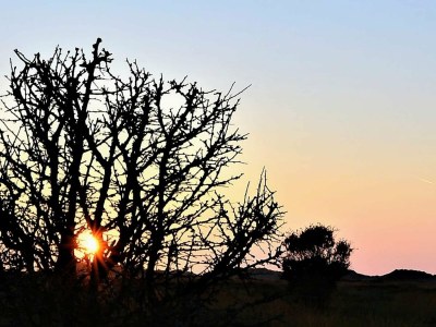 Holiday house 6 Personen Ferienhaus in Læsø-By Traum - Outdoor photo 20