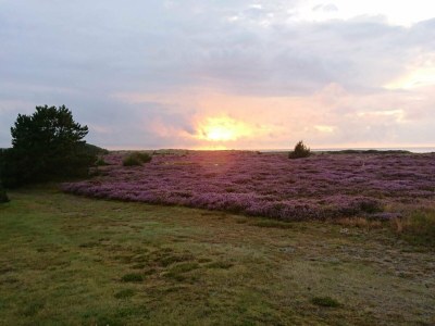 Holiday house 6 Personen Ferienhaus in Læsø-By Traum - Outdoor photo 21