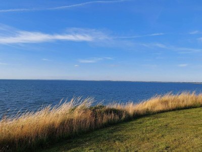 Holiday house 6 person holiday home in Vinderup-By Traum - Outdoor photo 17