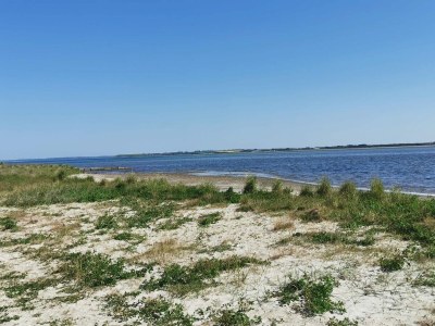 Holiday house 6 person holiday home in Vinderup-By Traum - Outdoor photo 22