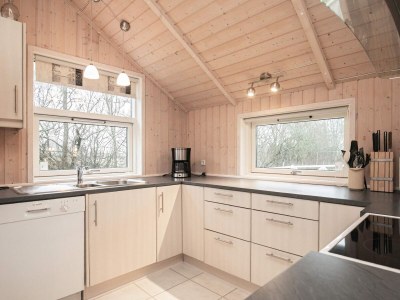 Holiday house 6 person holiday home in Vinderup-By Traum - Outdoor photo 26