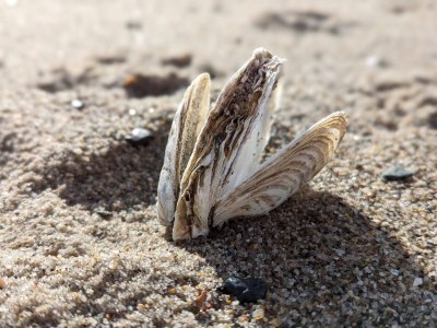 Holiday house 6 person holiday home in Vinderup-By Traum - Outdoor photo 27