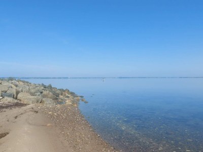 Holiday house 6 person holiday home in Vinderup-By Traum - Outdoor photo 33