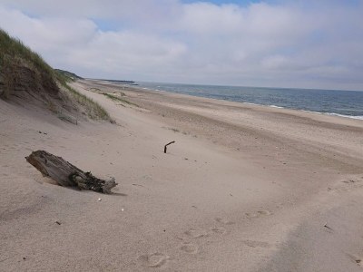 Holiday house 6 person holiday home in Vinderup-By Traum - Outdoor photo 37