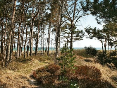 Holiday house Modernes Strandrefugium -- By Traum Ferienwohnungen - Outdoor photo 21
