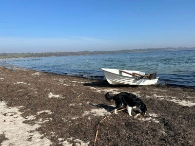 Holiday house 4 Personen Ferienhaus in Broager-By Traum - Outdoor photo 24