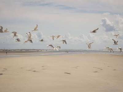Apartment 4 Personen Ferienhaus in Fanø-By Traum - Outdoor photo 17