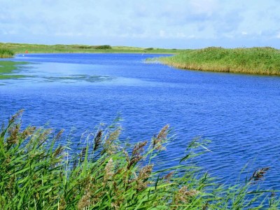 Holiday house 6 person holiday home in Hemmet-By Traum - Outdoor photo 40