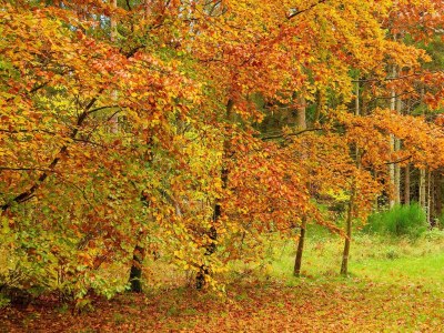 Holiday house 4 person holiday home in Ans By-By Traum - Outdoor photo 15