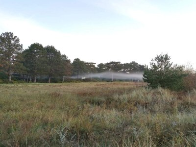 Holiday house Luxury Pool Villa Marielyst - By Traum Ferienwohnungen - Outdoor photo 40