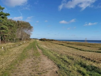 Holiday house Luxury Pool Villa Marielyst - By Traum Ferienwohnungen - Outdoor photo 41