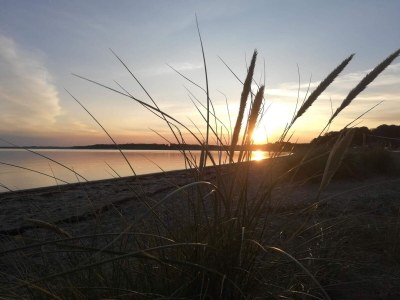 Holiday house Bright Family Cottage by Kelstrup Beach - Outdoor photo 37