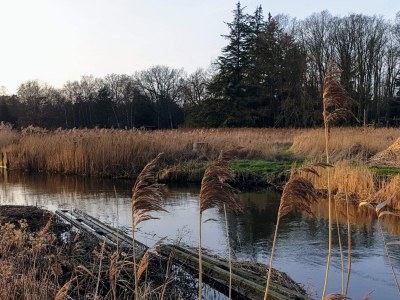 Holiday house 6 Personen Ferienhaus in Store Fuglede-By Traum - Outdoor photo 20