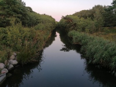 Holiday house 6 Personen Ferienhaus in Store Fuglede-By Traum - Outdoor photo 40