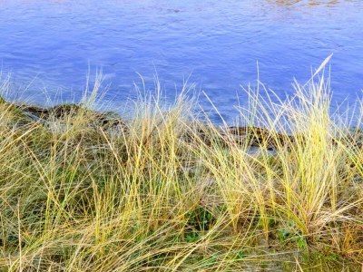 Holiday house 6 Personen Ferienhaus in Store Fuglede-By Traum - Outdoor photo 42