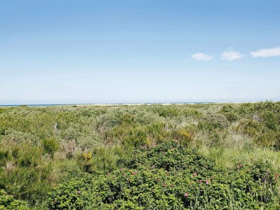 Holiday house Kustenserene Ruhe -- By Traum Ferienwohnungen - Outdoor photo 8