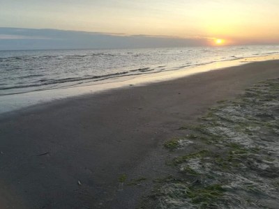 Apartment 6 Personen Ferienhaus in Fanø-By Traum - Outdoor photo 23