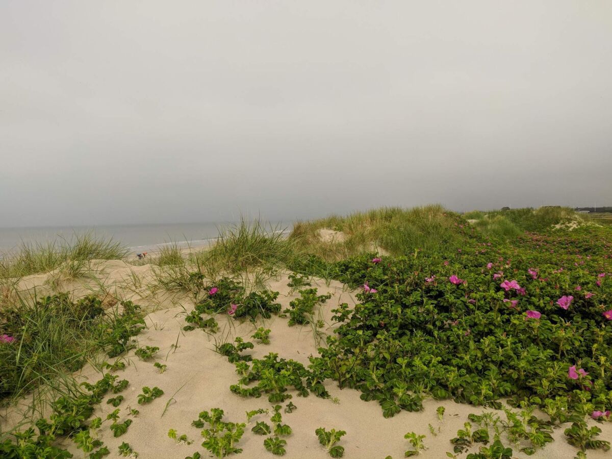 Holiday house Eco-Friendly Retreat with Spa - By Traum Ferienwohnungen - Outdoor photo 3