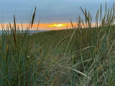 Holiday house Eco-Friendly Retreat with Spa - By Traum Ferienwohnungen - Outdoor photo 12