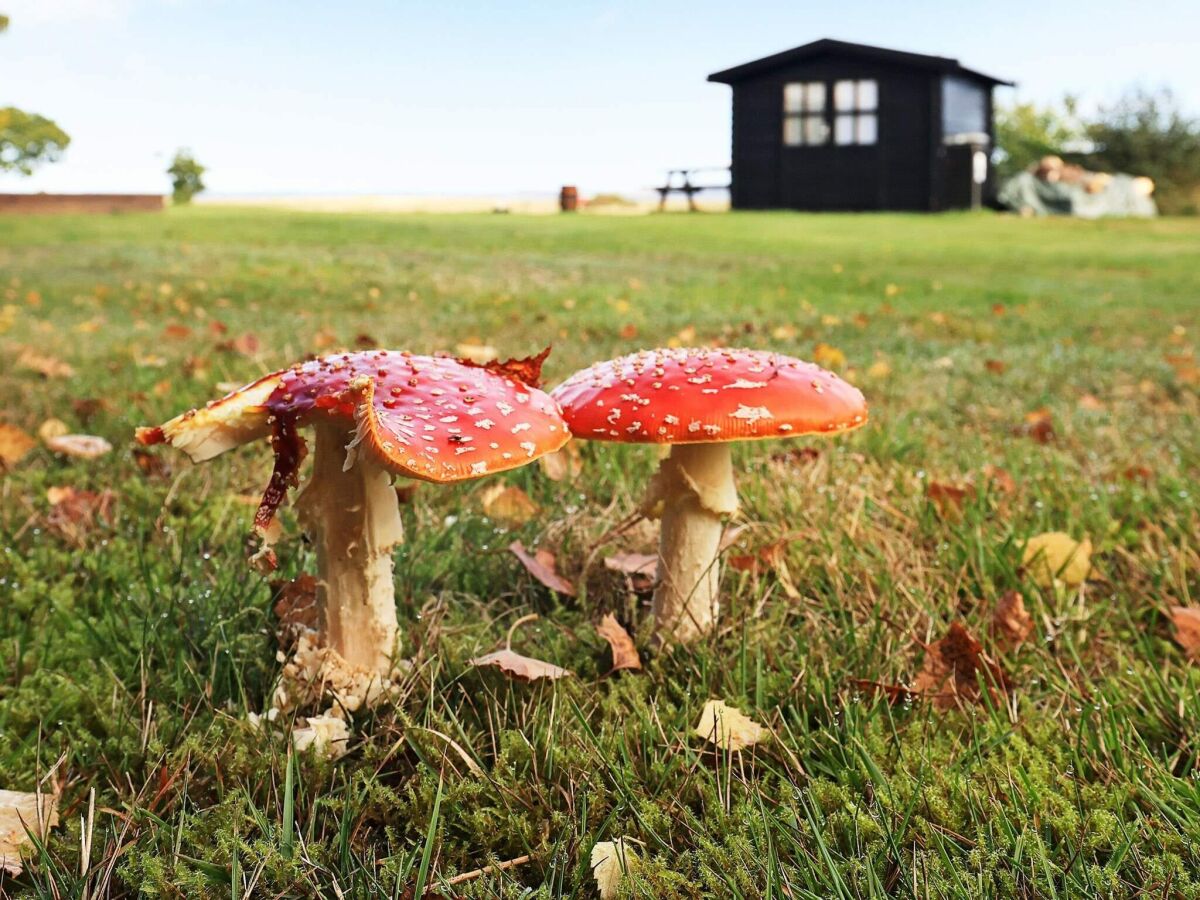 Holiday house 6 person holiday home in Højslev-By Traum - Outdoor photo 2