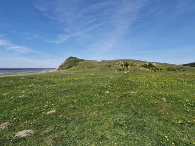 Holiday house 6 person holiday home in Højslev-By Traum - Outdoor photo 14