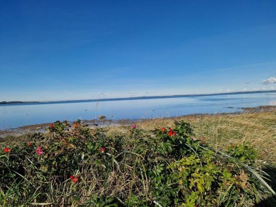 Holiday house 6 person holiday home in Højslev-By Traum - Outdoor photo 19