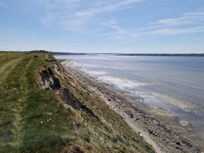 Holiday house 6 person holiday home in Højslev-By Traum - Outdoor photo 33