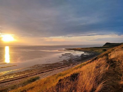 Holiday house 6 person holiday home in Højslev-By Traum - Outdoor photo 34
