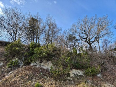 Holiday house 8 person holiday home in Thyholm-By Traum - Outdoor photo 14