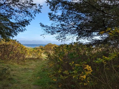 Holiday house 8 person holiday home in Thyholm-By Traum - Outdoor photo 23