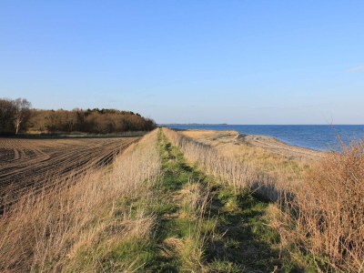 Holiday house 8 person holiday home in Thyholm-By Traum - Outdoor photo 29