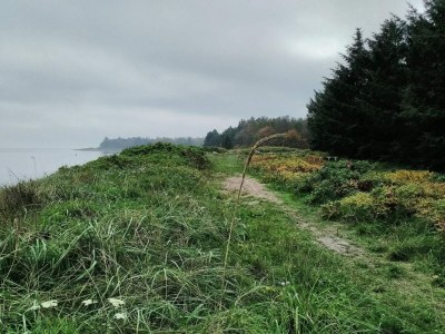 Holiday house 8 person holiday home in Thyholm-By Traum - Outdoor photo 30