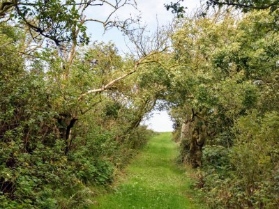 Holiday house 8 person holiday home in Thyholm-By Traum - Outdoor photo 40