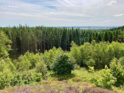 Holiday house 16 Personen Ferienhaus in Brovst-By Traum - Outdoor photo 8
