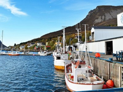 Holiday house 4 person holiday home in Skatvik-By Traum - Outdoor photo 16