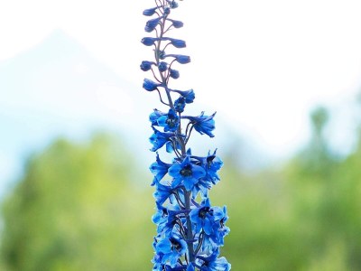 Holiday house 4 person holiday home in Skatvik-By Traum - Outdoor photo 31