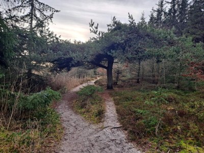 Holiday house 8 Personen Ferienhaus in Hals-By Traum - Outdoor photo 42
