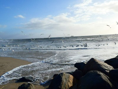 Holiday house 5 Personen Ferienhaus in Blåvand-By Traum - Outdoor photo 49