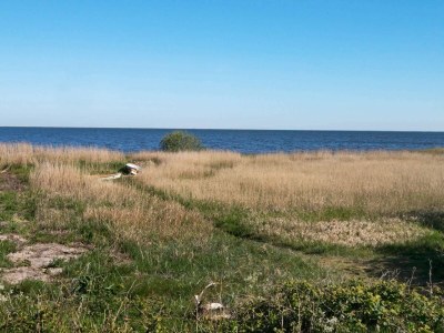 Holiday house Panoramablick auf den Fjord -- By Traum Ferienwohnungen - Outdoor photo 32