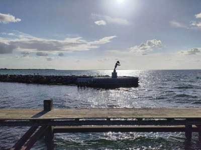 Apartment 4 person holiday home in Bogense-By Traum - Outdoor photo 36