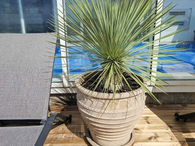 Holiday house Panoramisches Pool-Refugium -- By Traum Ferienwohnungen - Outdoor photo 10