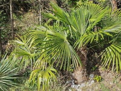 Holiday house Panoramisches Pool-Refugium -- By Traum Ferienwohnungen - Outdoor photo 21