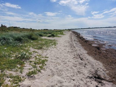 Holiday house 6 Personen Ferienhaus in Slagelse-By Traum - Outdoor photo 9