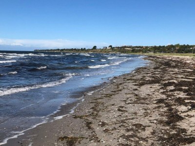 Holiday house 6 Personen Ferienhaus in Slagelse-By Traum - Outdoor photo 27