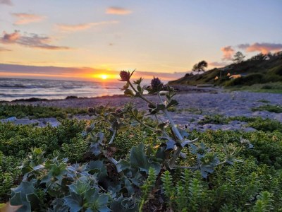 Holiday house 6 Personen Ferienhaus in Slagelse-By Traum - Outdoor photo 30