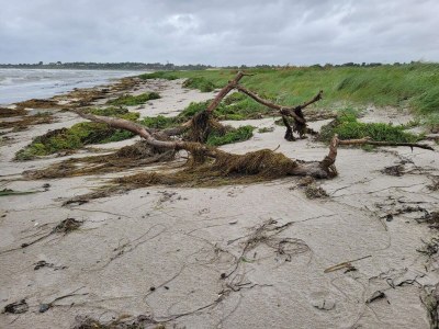 Holiday house 6 Personen Ferienhaus in Slagelse-By Traum - Outdoor photo 32