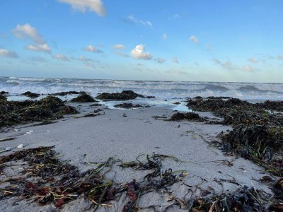 Holiday house 6 Personen Ferienhaus in Slagelse-By Traum - Outdoor photo 40