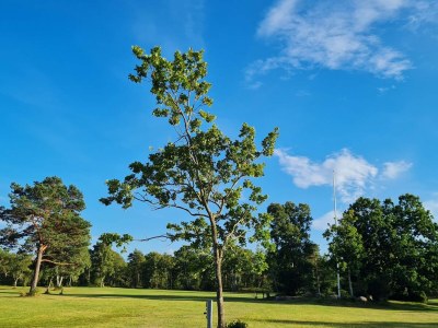 Holiday house 8 Personen Ferienhaus in Hadsund-By Traum - Outdoor photo 20