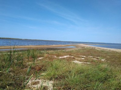 Holiday house 8 person holiday home in Ulfborg-By Traum - Outdoor photo 7